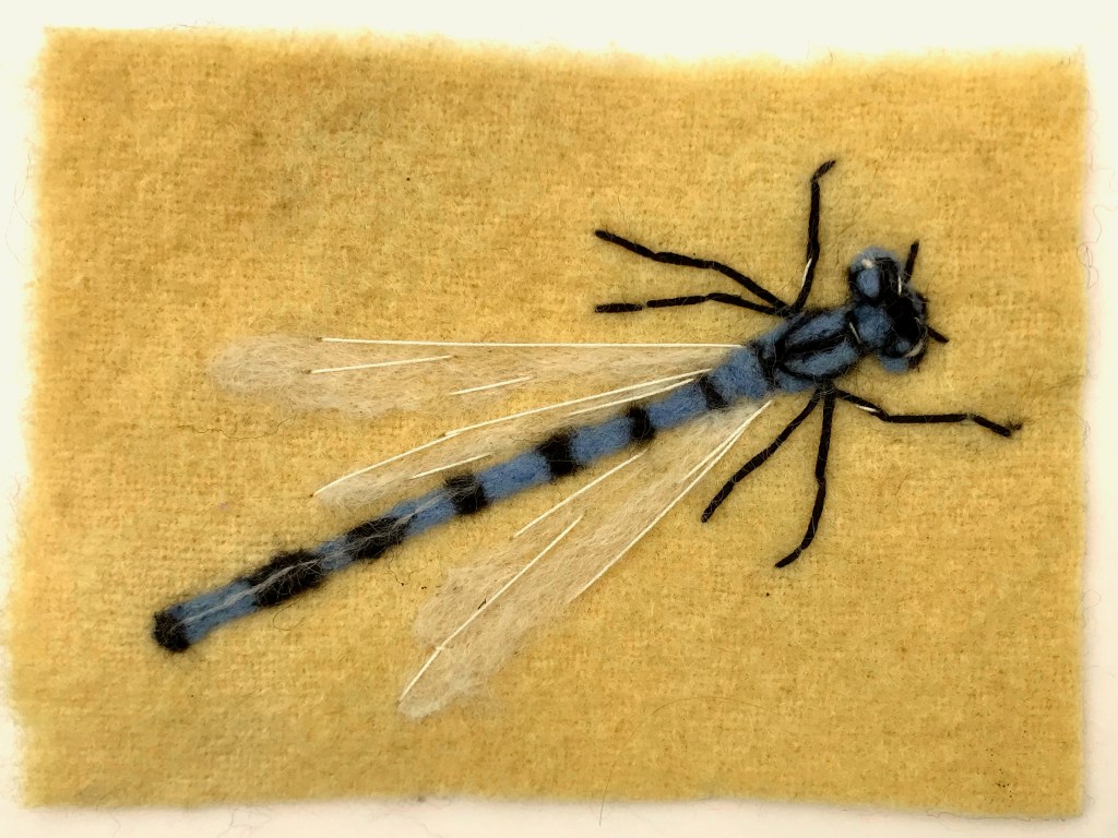 Template: Needlefelt – Make a picture of a Common Blue&nbsp;Damselfly