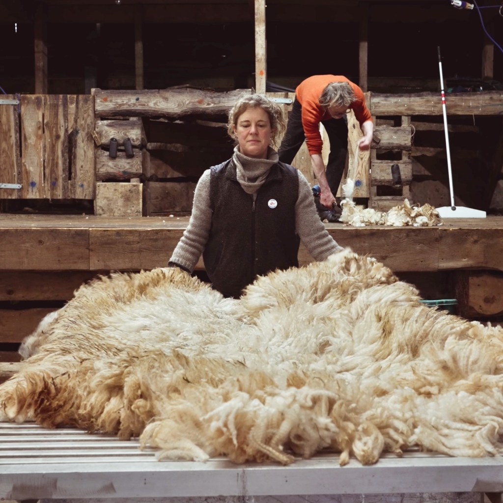 Installations, Exhibition and&nbsp;Events