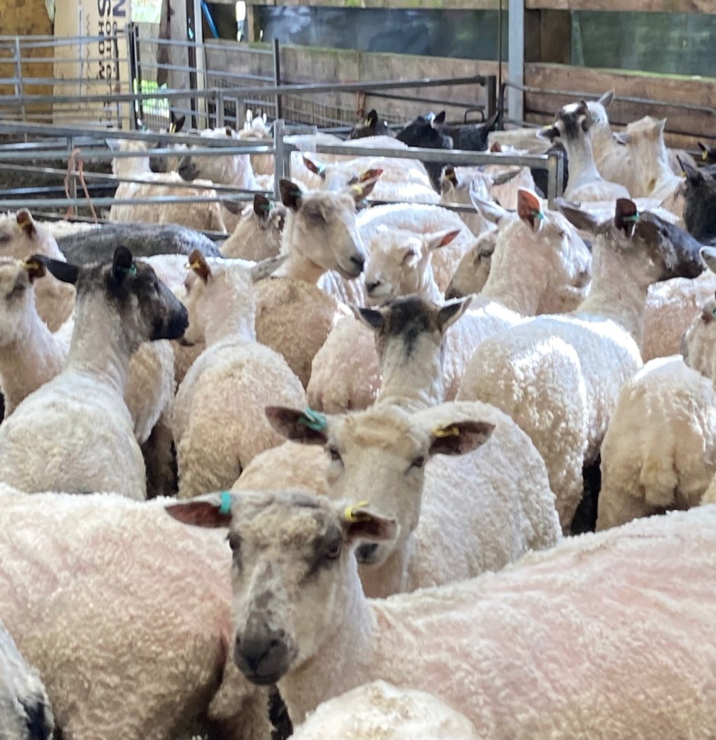 Where did it all&nbsp;begin…?